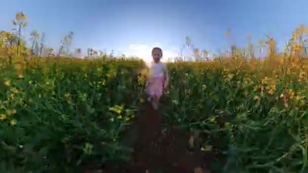 Cute Little Girl Running In The Park In The Summer Love Family Happy Childhood Happiness Concept Travel 360 Vr Footage First Person 8k Slow Motion — Stock Video