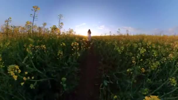 Cute Female Toddler Running In The Park In The Summer Rapeseed Field Love Happy Family 360 Vr Footage First Person 8k Slow Motion — Stock Video