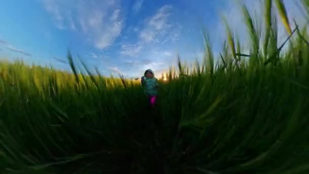 夏の自然と探検で楽しい屋外を持つかわいい女の子ハッピーファミリー360 VR映像一人目8kスローモーション — ストック動画