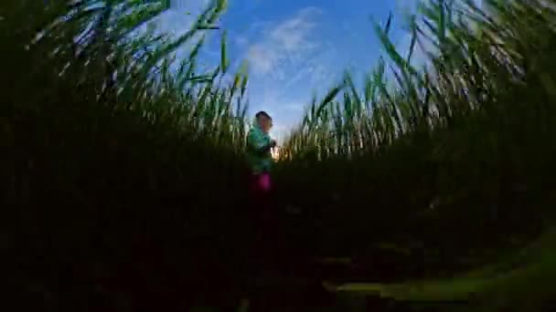 Симпатична маленька дівчинка біжить пшеничне поле на заході сонця Веселощі на відкритому повітрі Щаслива сім'я 360 Vr Кадри від першої особи 8k повільний рух — стокове відео