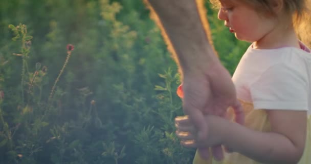 Feliz familia padre e hija disfrutando de tiempo juntos caminando a través del campo infancia felicidad diversión vacaciones rojo cámara lenta 8k — Vídeo de stock