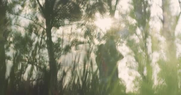 Батько пряде маля на заході сонця Веселощі весняні весняні весняні вечори Щасливі сім'ї Радісні бачення Спогади Червоний повільний рух 8k — стокове відео
