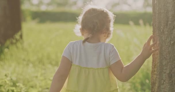 Enfant jouer avec son père cacher et chercher dans la forêt douce petite fille profiter des activités de plein air Camping dans la nature au coucher du soleil Plaisir Loisirs Enfance Rêve Rouge ralenti 8k — Video