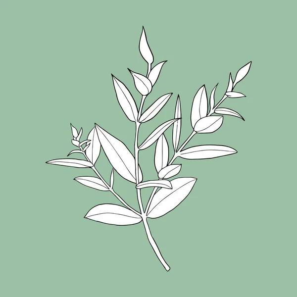 Plante monochrome sur fond vert . — Image vectorielle