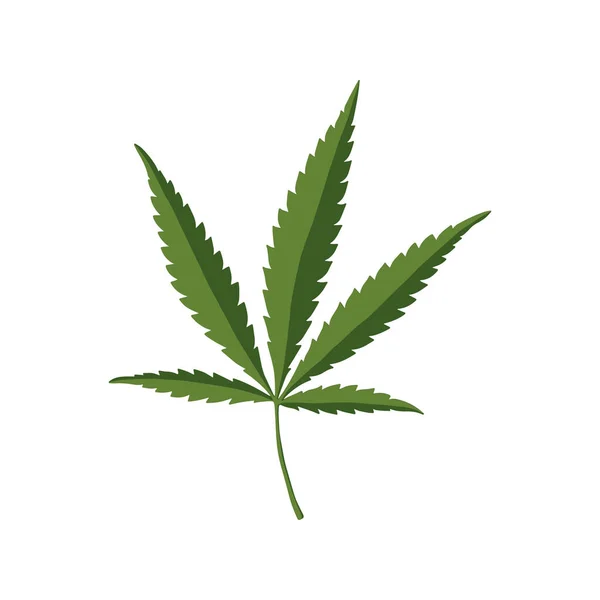 Green Hemp Leaf Cannabis Vector Icon Isolated Vector Illustration — Stok Vektör