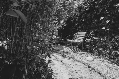 Klasik bank ve parkta güzel bitkiler, siyah ve beyaz 