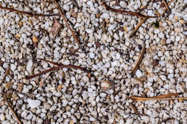 Yerde beyaz çakıl taşı dokusu var.