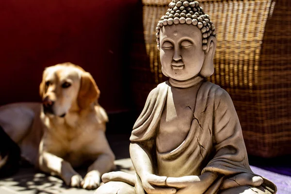 佛像和狗的小雕像 — 图库照片