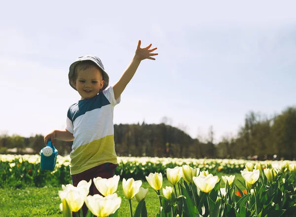 Маленький Мальчик Красивом Саду Лейкой Банкой Среди Желтых Цветов Тюльпанов — стоковое фото