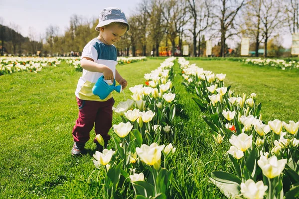 Dítě s konev mezi květy tulipánů na hřišti — Stock fotografie