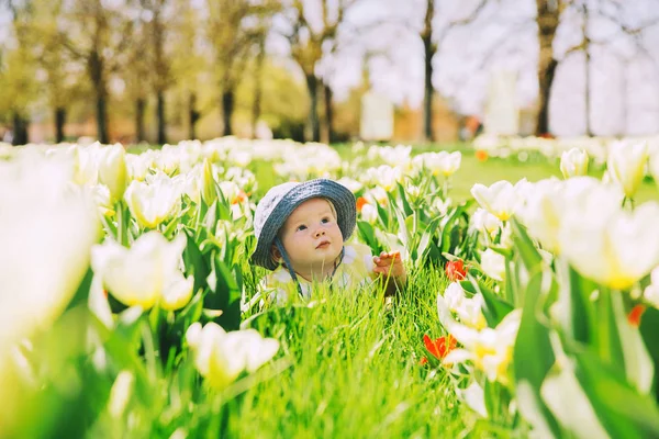 Ребенок в зеленой траве тюльпанового поля весной — стоковое фото