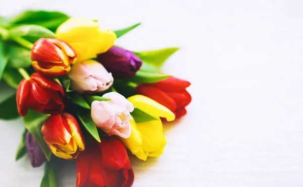 Весенние цветы тюльпанов на белом фоне — стоковое фото