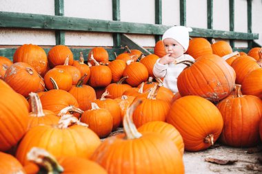 Kabak yama çocuk toplama kabak.