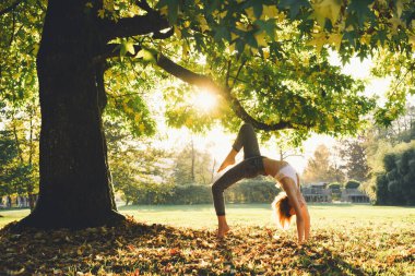 Sıradan giyinen genç bir kadın parkta yoga pozu veriyor. Kız dışarıda yoga yapıyor. İnce, güçlü ve esnek vücutlu bir kadın. Sağlıklı yaşam biçimleri.