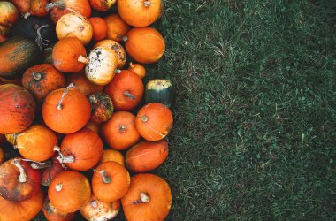 Sonbahar balkabağı hasadı. Kış kabaklarının farklı çeşitleri. Çiftlik pazarında ya da mevsimlik festivalde portakal kabağı yığını.