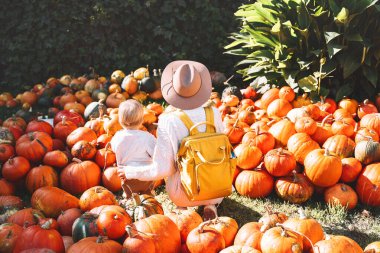 Balkabağı tarlasında anne ve küçük çocuğun arka görüntüsü. Kadın ve çocuk çiftlik pazarından balkabağı topluyor. Şükran Günü ve Cadılar Bayramı. Aile sonbahar geçmişi.