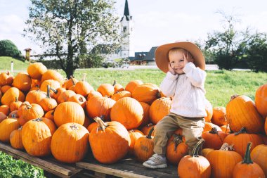 Balkabağı tarlasından balkabağı toplayan bir çocuk. Çiftçi gibi giyinmiş şirin bir çocuk çiftlik pazarında squash oynuyor. Şükran Günü ve Cadılar Bayramı. Aile sonbahar geçmişi.