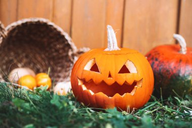 Cadılar Bayramı için hazırlık, evin dışında sonbahar dekorasyonu, yakın çekim. Ahşap arka planda Cadılar Bayramı balkabağı kabağı kabağı feneri.