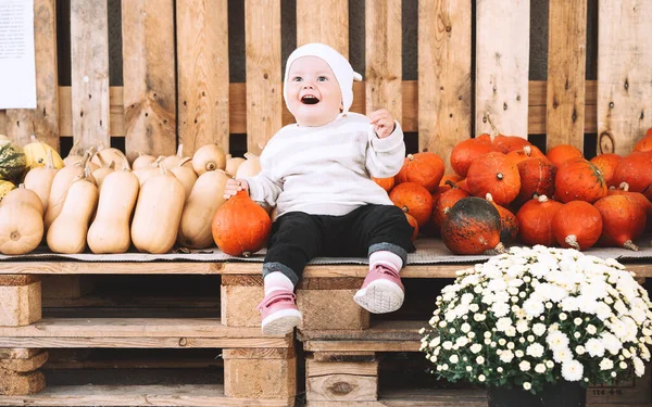Child picking pumpkins at pumpkin patch. Little toddler girl playing among squash at farm market. Thanksgiving holiday season. Family autumn background.