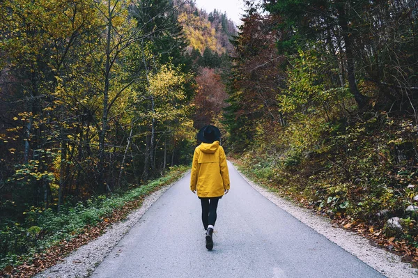 Woman in yellow raincoat walking on road in autumn forest. Young hiker girl in nature outdoors on rainy and foggy day. Travel freedom lifestyle