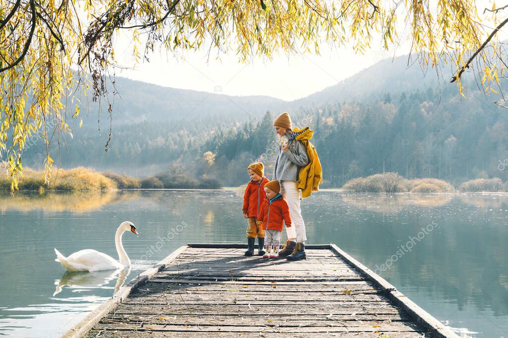 Family in nature background. Mother and children together in countryside outdoors. Woman and little kids looking at beautiful swan in lake or pond surrounded by branches of willow tree in autumn time.