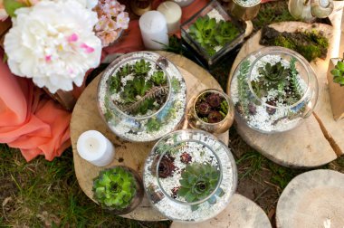 Sulu ve yosun ile Rustik düğün masası ayarı. Sulu masa ayarı