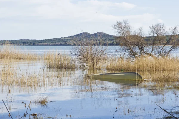 Ornitologisk Reserv Vransko Jezero Kroatien Skog Flora — Stockfoto