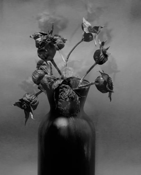 Natureza Morta Com Vasos Flores — Fotografia de Stock