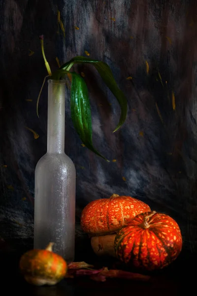 Nature Morte Avec Paniers Citrouilles — Photo