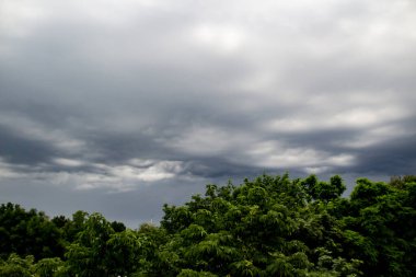 Bulutlu ve ağaç tepeli güzel fırtınalı bir gökyüzü. Yağmurdan önce şiddetli kara bulutlar ve yeşil yapraklı kestanelerin tepeleri.