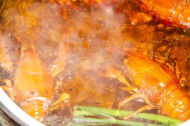 Kavanozda kaynamış su içinde kaynamış kerevit. Suda dereotlu kerevit hazırlığı. Kerevitle lezzetli bir yemek.