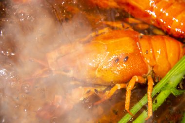 Kavanozda kaynamış su içinde kaynamış kerevit. Suda dereotlu kerevit hazırlığı. Kerevitle lezzetli bir yemek.