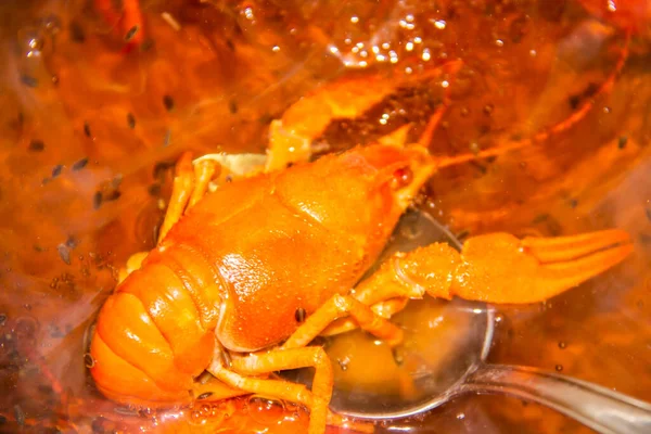 Ein Gekochter Krebs Kochendem Wasser Einem Topf Zubereitung Von Flusskrebsen — Stockfoto