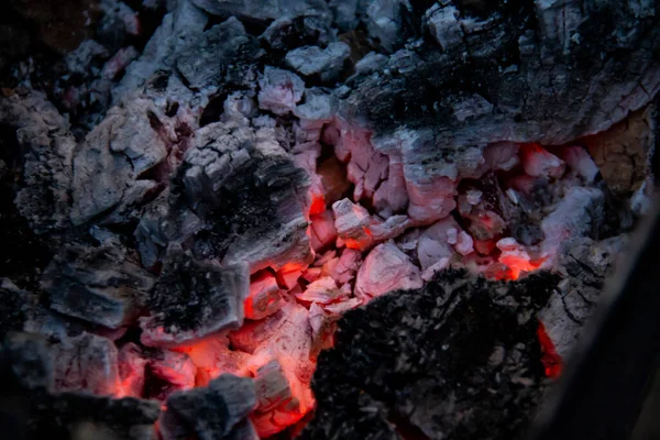 燃烧的煤 特写腐烂的木炭 烧烤季节 灿烂的烈焰闪耀 夜间焚烧炽热的煤块和木柴 篝火中燃烧的红煤 — 图库照片