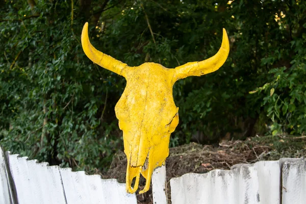 Ein Gelbfarbener Bullenschädel Hängt Einem Zaun Ein Gelb Lackierter Schädel — Stockfoto