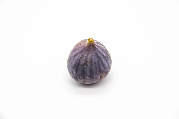 唯一的无花果被隔离在白色的背景上 成熟的紫色无花果树视图 — 图库照片