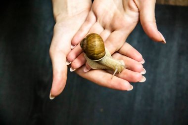 Kadın elinde bir salyangoz tutuyor..