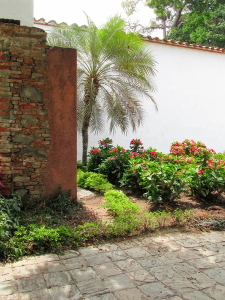 Jardin Tropical Casa Colonial Suelo Empedrado — Stock Photo, Image