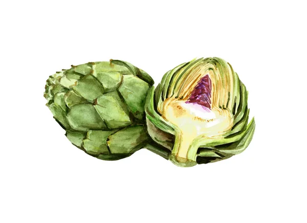 Akvarell kronärtskocka. Hälsa vegetarisk mat — Stockfoto