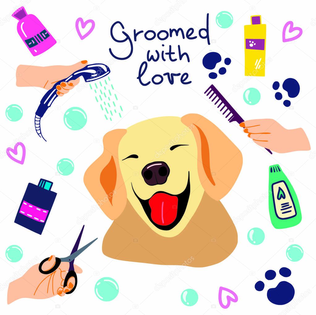 vector illustration of cute dogs in the bath with foam and shampoos and handwritten phrase Groomed with love