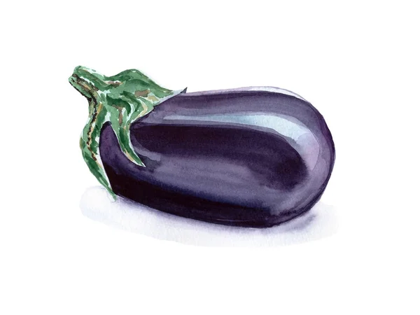 Akvarell aubergine för din kokböcker, eller kort — Stockfoto