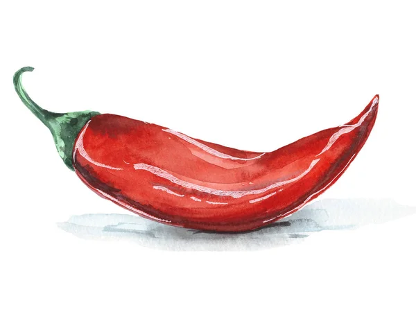 Chili aquarelle pour vos livres de cuisine, cartes, menus et autres idées — Photo