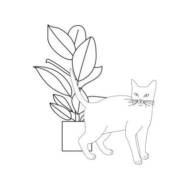 Şık bir kedi vektör illüstrasyon. Bir kedisilueti. Modern trend tasarımı. Logolar, el ilanları, paketler, baskılar ve posterler için konsept