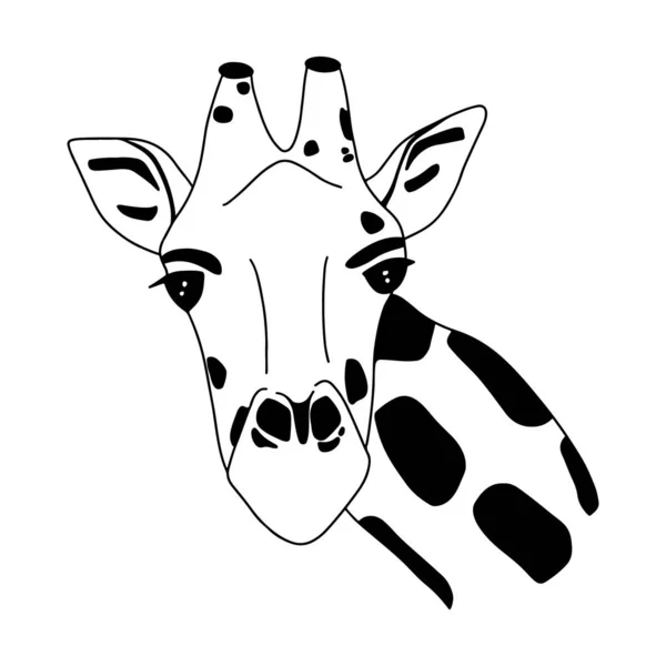 Bir zürafanın kontur silueti. Afrika'nın hayvanları. Bir zürafanın başı. Logo, reklam, web, baskılar ve afişler için tasarım öğesi. — Stok Vektör