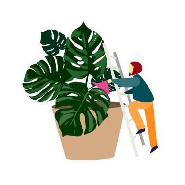 Kız merdivenleri tırmandı ve sulama olabilir büyük bir çiçek sulama