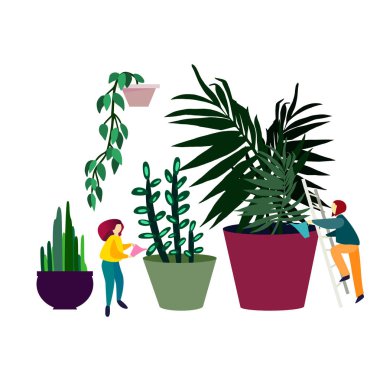 İki genç güzel kız büyük tencere çiçek tencere sulanmış. Etraflarında birçok farklı yerli bitki var.