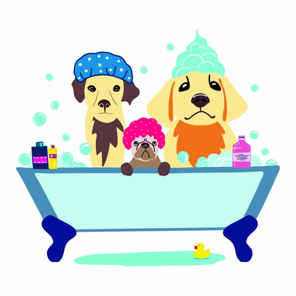 Vector image of three cute dogs in a bubble bath. Hand drawn vector pet care illustration — Stock Vector