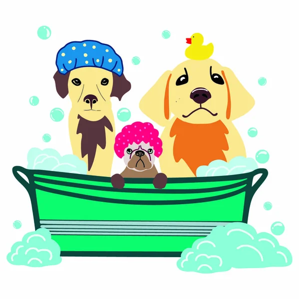 Vector image of three dogs sitting in a bath with foam and soap bubbles. Hand drawn pet care illustration — Stock Vector