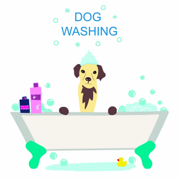 Vector illustration of cute dog in the bath with foam and shampoos and handwritten phrase Dog washing. Hand drawn pet care illustration — Stock Vector