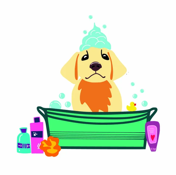 Vector image of dog sitting in a bath with foam and soap bubbles. Hand drawn pet care illustration — Stock Vector